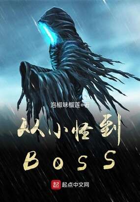 从小怪到BOSS