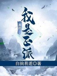 我真的是正派 笔趣阁 无广告